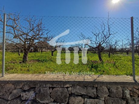 Parcel 6.500sqm for sale-Aegina