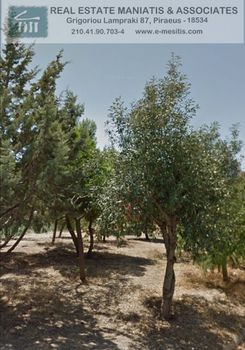 Οικόπεδο 1.084 τ.μ. για πώληση