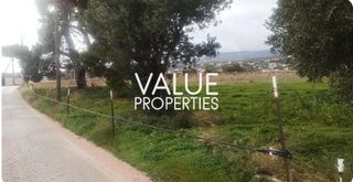 Αγροτεμάχια 2.400 τ.μ. για ενοικίαση