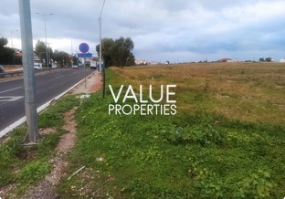 Αγροτεμάχια 3.800 τ.μ. για ενοικίαση, Αττική - Υπόλοιπο, Ραφήνα