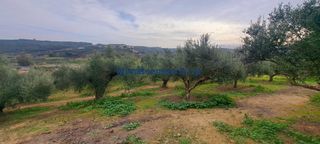 Οικόπεδο 3.386 τ.μ. πρός πώληση, Ν. Χανίων, Βουκολιές-thumb-4