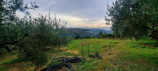 Οικόπεδο 3.386 τ.μ. πρός πώληση, Ν. Χανίων, Βουκολιές-thumb-7