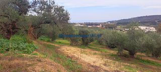 Οικόπεδο 3.386 τ.μ. για πώληση