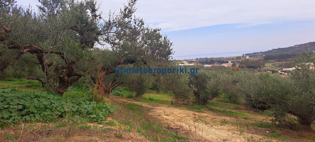 Οικόπεδο 3.386 τ.μ. πρός πώληση, Ν. Χανίων, Βουκολιές