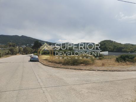 Οικόπεδο 900τ.μ. για πώληση-Μαρκόπουλο
