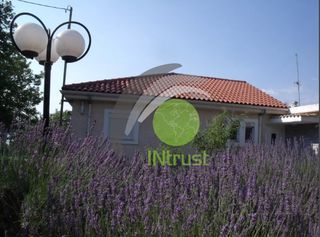 Μεζονέτα 360 τ.μ. για πώληση, Αχαΐα, Ρίο-thumb-17