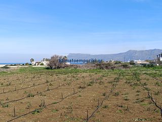 Οικόπεδο 1.000 τ.μ. για πώληση