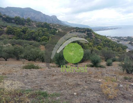 Οικόπεδο 5.934,32τ.μ. για πώληση-Διακοπτό