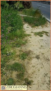 Αγροτεμάχια 15.300τ.μ. για πώληση-Πικέρμι