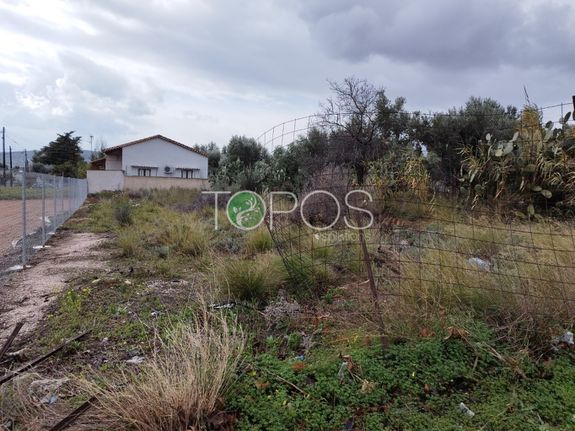 Οικόπεδο 411 τ.μ. για πώληση, Αθήνα - Ανατολικά Προάστια, Παλλήνη