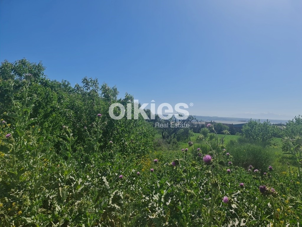 Οικόπεδο 1.079 τ.μ. προς πώληση, Κέντρο Θέρμης