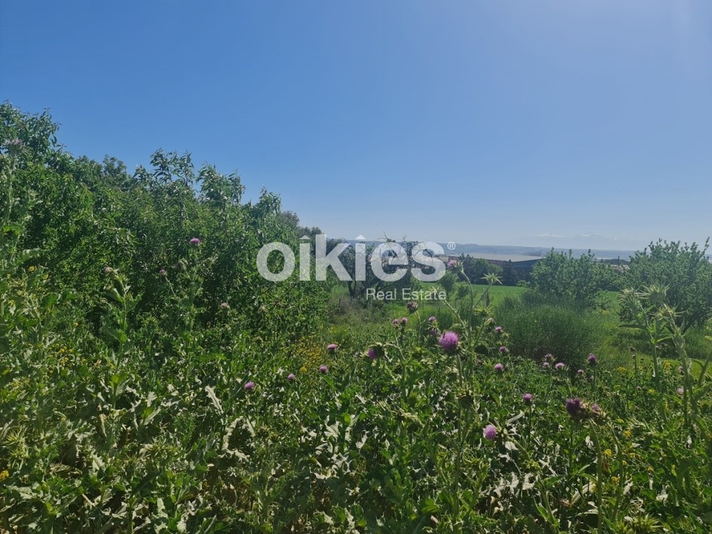 Οικόπεδο 1.079 τ.μ. προς πώληση, Κέντρο Θέρμης