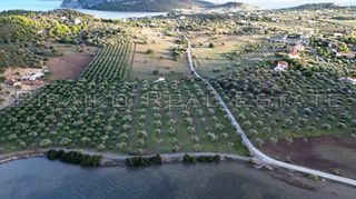 Οικόπεδο 9.800 τ.μ. για πώληση, Αργολίδα, Ερμιόνη-thumb-8