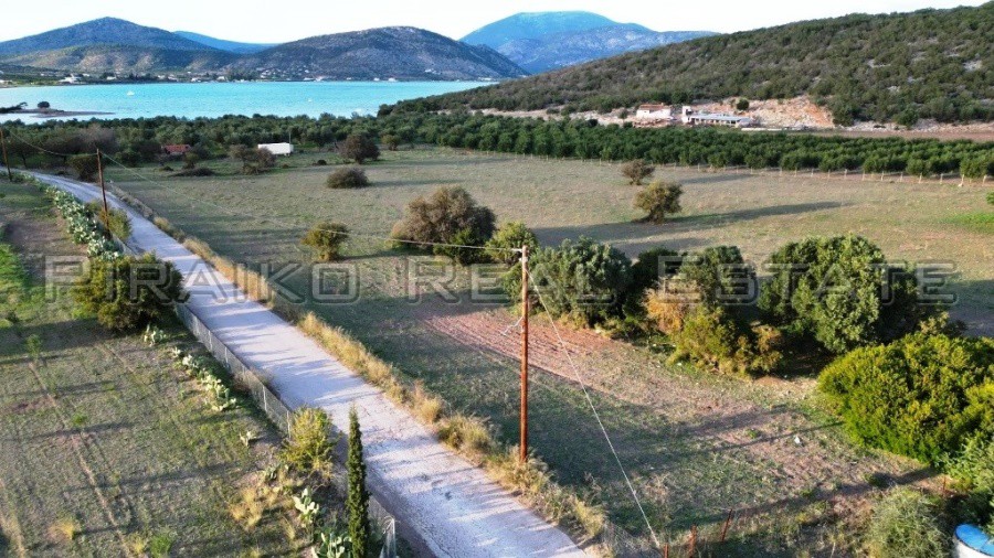 Land plot 9.800 sqm for sale, Ermioni