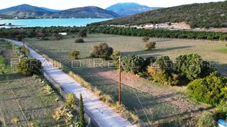 Οικόπεδο 9.800 τ.μ. για πώληση, Αργολίδα, Ερμιόνη-thumb-4