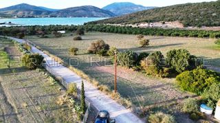 Οικόπεδο 9.800 τ.μ. για πώληση, Αργολίδα, Ερμιόνη-thumb-3