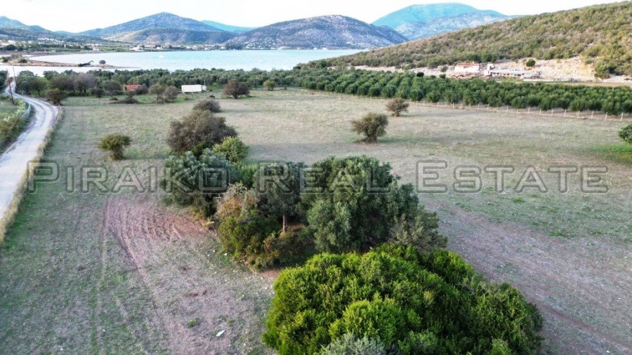 Οικόπεδο 9.800 τ.μ. για πώληση, Αργολίδα, Ερμιόνη