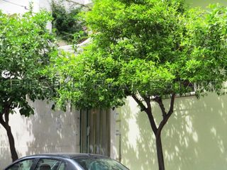 Οικόπεδο 330 τ.μ. για πώληση, Πειραιάς, Αγία Σοφία-thumb-1