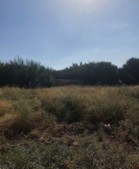 Land plot 800 sqm for sale