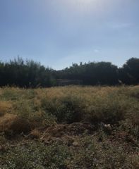 Land plot 800 sqm for sale