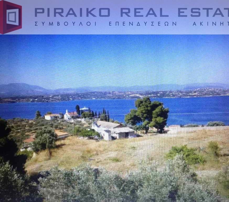 Οικόπεδο 4.100 τ.μ. προς πώληση, Λιγονέρι