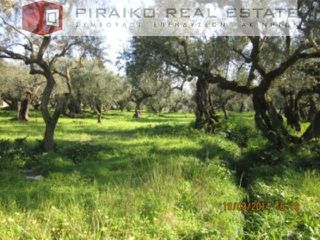 Οικόπεδο 2.500 τ.μ. για πώληση