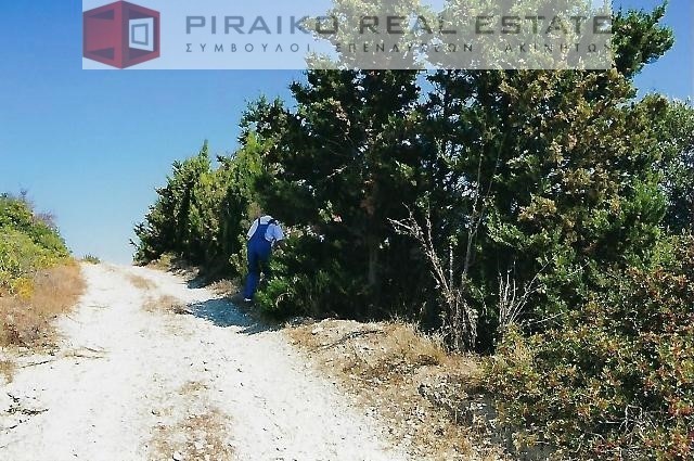 Οικόπεδο 14.043 τ.μ. προς πώληση, Οκτωνιά