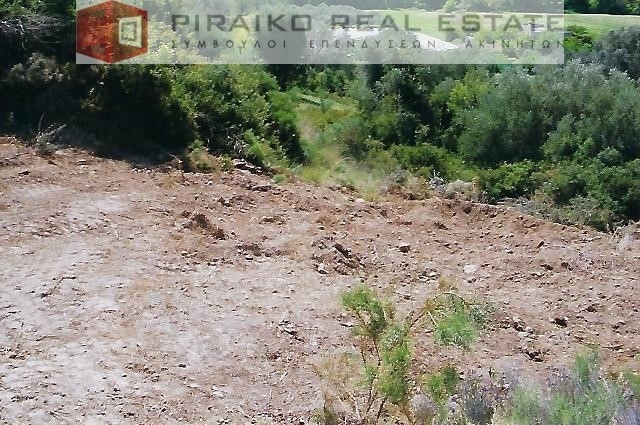 Οικόπεδο 14.043 τ.μ. προς πώληση, Οκτωνιά