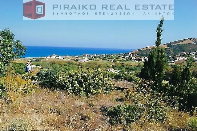 Οικόπεδο 14.043 τ.μ. προς πώληση, Οκτωνιά