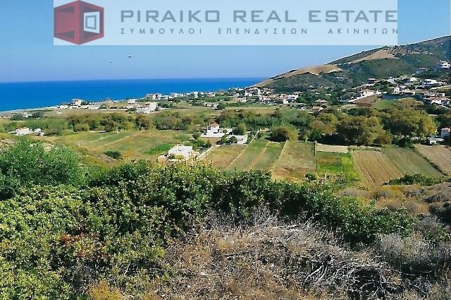 Οικόπεδο 14.043 τ.μ. προς πώληση, Οκτωνιά