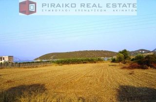 Οικόπεδο 4.001 τ.μ. για πώληση, Αργολίδα, Ερμιόνη-thumb-5
