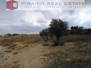 Οικόπεδο 12.300 τ.μ. για πώληση, Αργολίδα, Κρανίδι-thumb-1