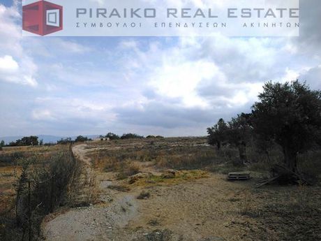 Οικόπεδο 12.300 τ.μ. για πώληση