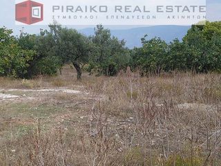 Οικόπεδο 12.300 τ.μ. για πώληση, Αργολίδα, Κρανίδι-thumb-5