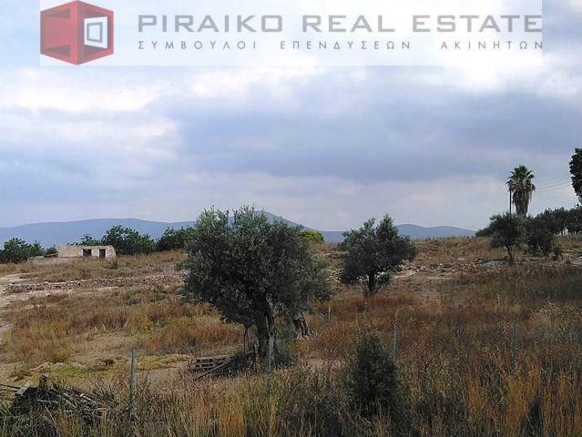 Οικόπεδο 12.300 τ.μ. προς πώληση, Κρανίδι