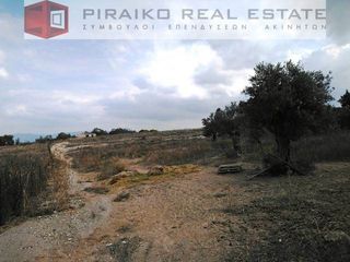 Οικόπεδο 12.300 τ.μ. για πώληση, Αργολίδα, Κρανίδι-thumb-2
