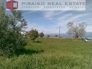 Οικόπεδο 4.066 τ.μ. πρός πώληση, Φθιώτιδας, Άγιος Κωνσταντίνος-thumb-1