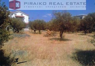 Οικόπεδο 600 τ.μ. για πώληση, Κορινθία, Ευρωστίνη-thumb-3