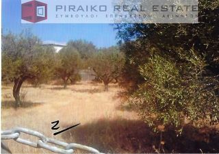 Οικόπεδο 600 τ.μ. για πώληση, Κορινθία, Ευρωστίνη-thumb-1
