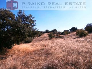 Οικόπεδο 4.032 τ.μ. για πώληση, Αργολίδα, Κρανίδι-thumb-6