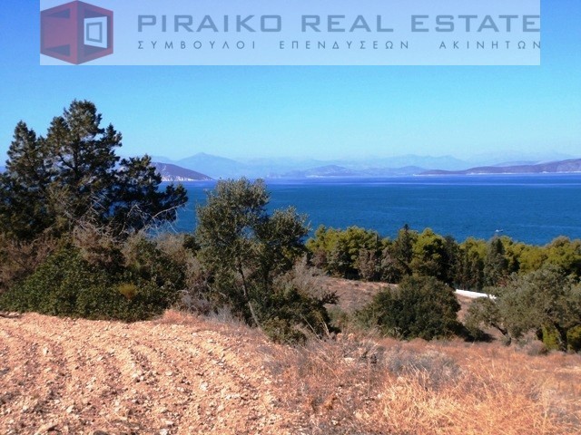 Οικόπεδο 4.032 τ.μ. προς πώληση, Κοιλάδα Κρανιδίου