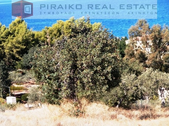 Οικόπεδο 4.032 τ.μ. προς πώληση, Κοιλάδα Κρανιδίου