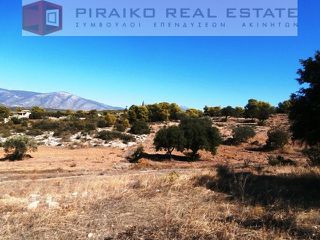 Οικόπεδο 4.032 τ.μ. για πώληση, Αργολίδα, Κρανίδι-thumb-5