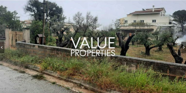 Οικόπεδο 1.136 τ.μ. για πώληση, Αττική - Υπόλοιπο, Ραφήνα