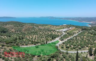 Οικόπεδο 4.288 τ.μ. για πώληση