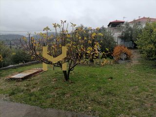 Detached home 105 sqm for sale, Samos Prefecture, Samos-thumb-14