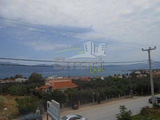 Κατάστημα 240 τ.μ. για ενοικίαση, Αχαΐα, Ρίο-thumb-25