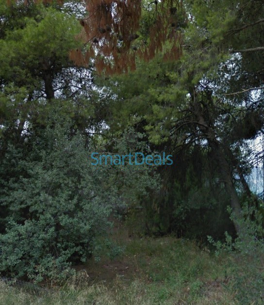 Οικόπεδο 160 τ.μ. προς πώληση, Κυψέλη Αθήνας