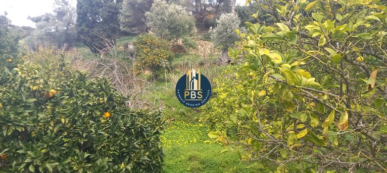Οικόπεδο 2.617 τ.μ. για πώληση, Κυκλάδες, Άνδρος