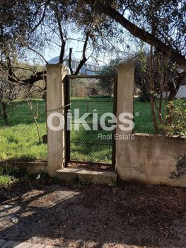 Οικόπεδο 2.500τ.μ. για πώληση-Καλαμαριά